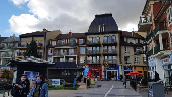 Blue Mountain Private Tour - Image 2