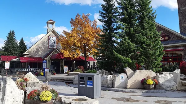 Blue Mountain Private Tour - Image 3