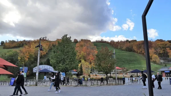 Blue Mountain Private Tour - Image 5