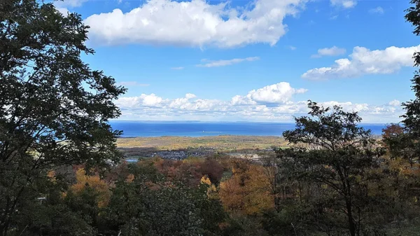Blue Mountain Private Tour - Image 8