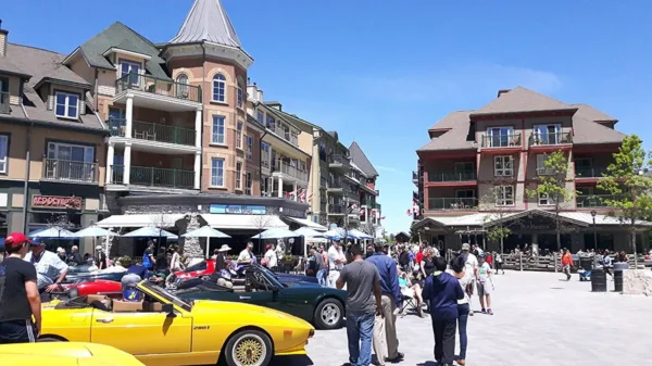 Blue Mountain Private Tour - Image 11