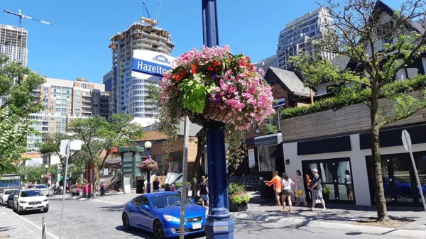 Toronto Private City Tour - Image 2