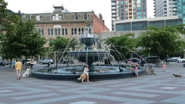Toronto Private City Tour - Image 3