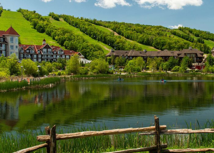 Blue Mountain One-Day Private Tour