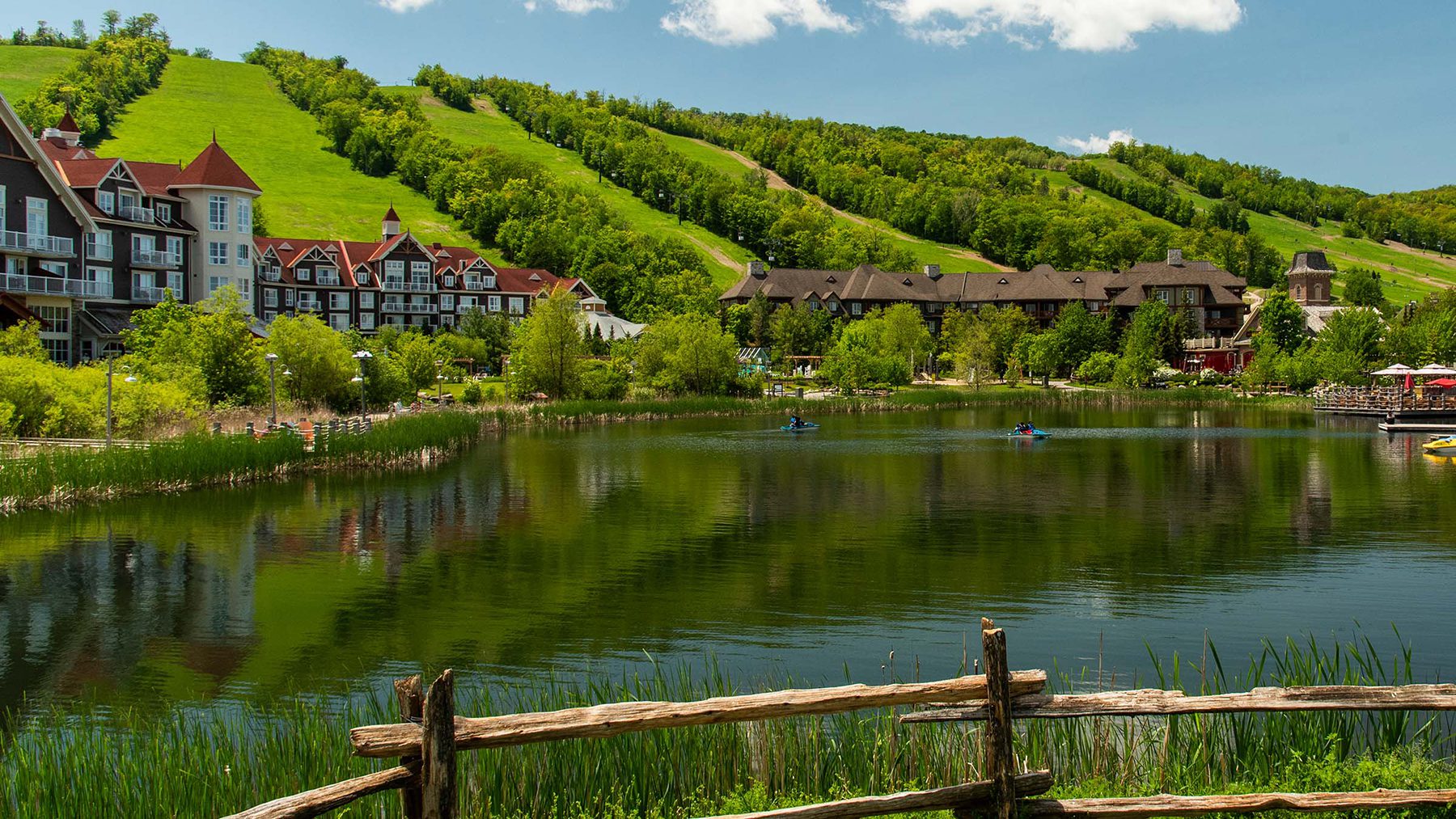 Blue Mountain One-Day Private Tour